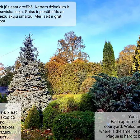 Champetre Park View *
