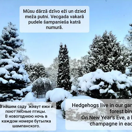 Apartman Champetre Park View Riga