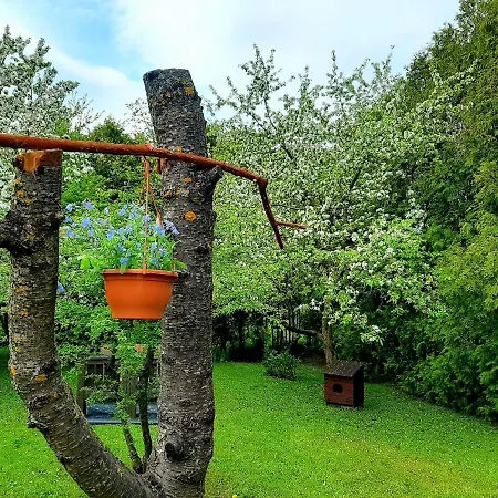 Champetre Park View Apartment *