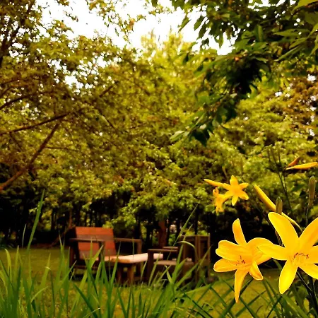 Champetre Park View Apartment *